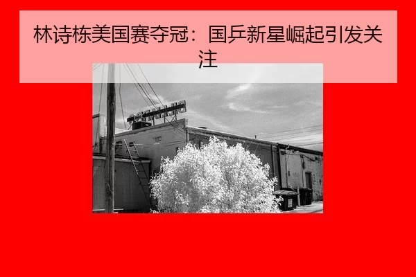 lin-shi-dong-mei-guo-sai-duo-guan-guo-ping-xin-xing-jue-qi-yin-fa-guan-zhu-2-393.jpg